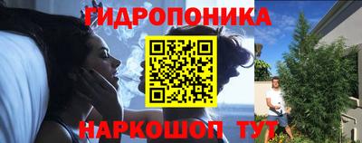 гидра Моздок