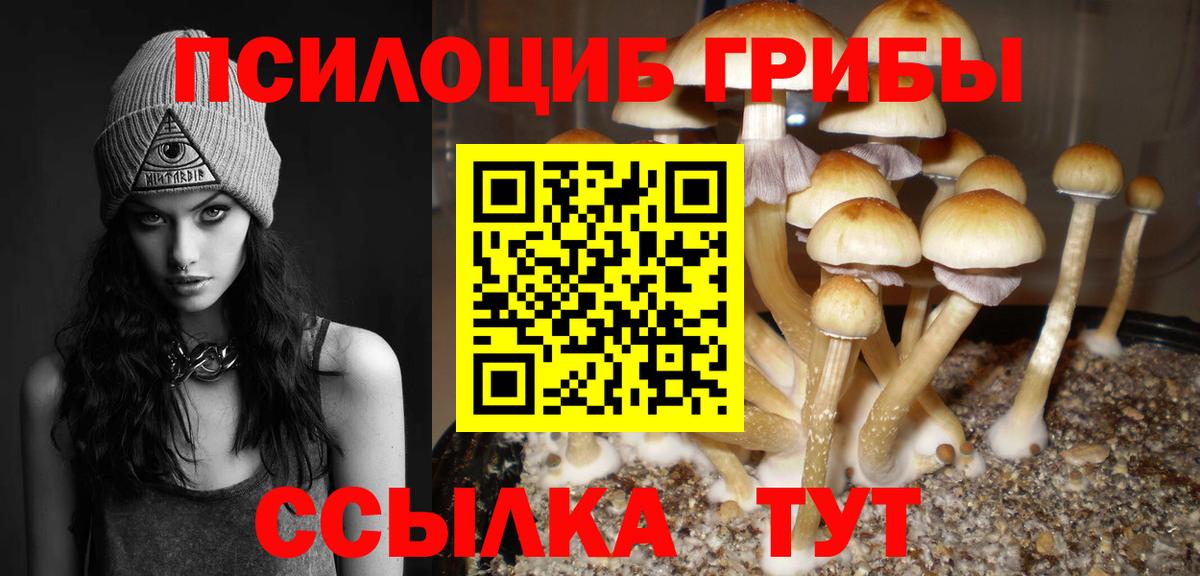 Псилоцибиновые грибы GOLDEN TEACHER  Вход с VPN  Черногорск 