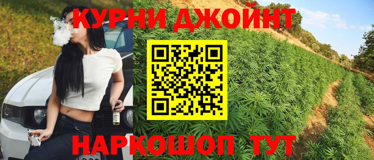 Бошки Шишки конопля Черногорск